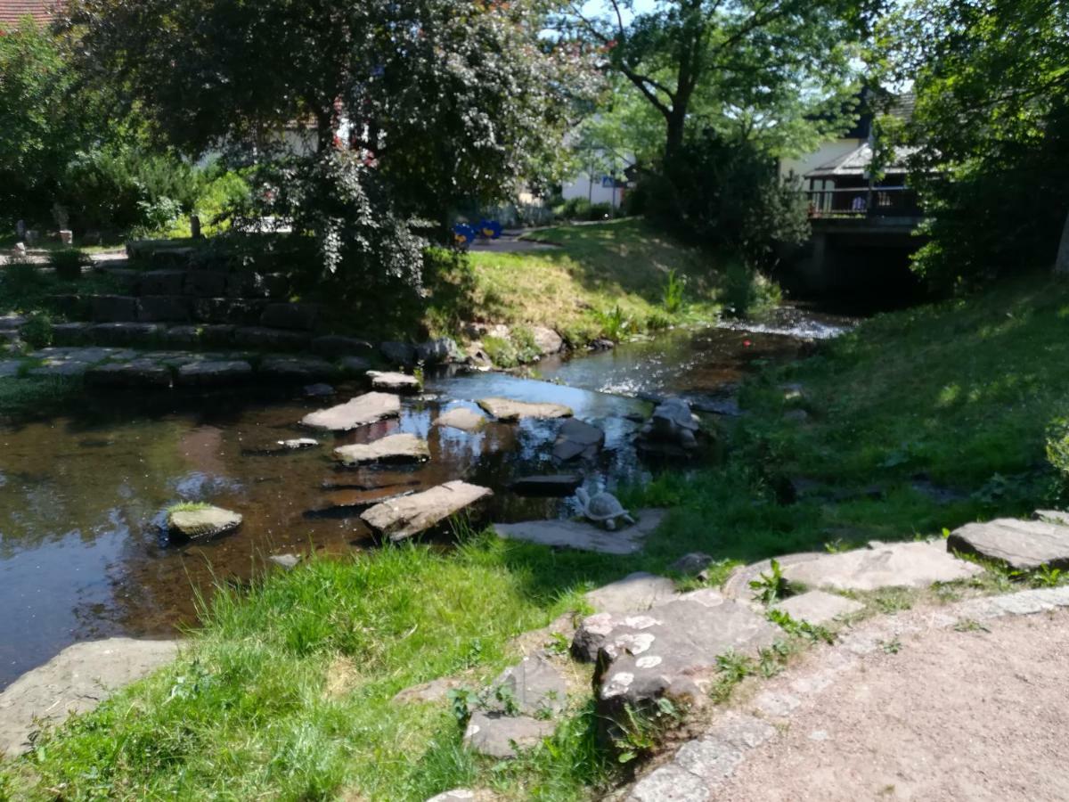 Am Sommerberg Unterkirnach Экстерьер фото